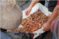 Proposed Trade Deal Prompts Concern Over Imported Shrimp