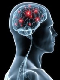 Multivitamin shows brain boosting activity for elderly women