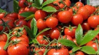 China: tomato prices reach new high