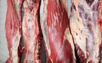USDA Gives A Little More Background On Rancho Recall