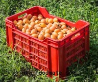 Achacha fruit a growing global market