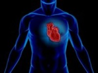 Sesame and rice bran oil linked to lower blood pressure and improved cholesterol